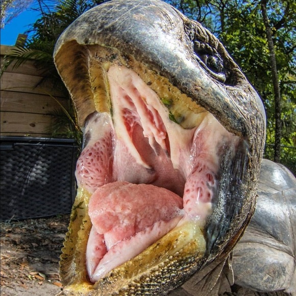 Meet your Posher, Linton - Picture 1 of 1